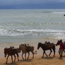 Salvador and the cost of Bahia